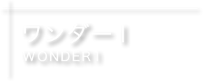 ワンダーⅠ wonder1